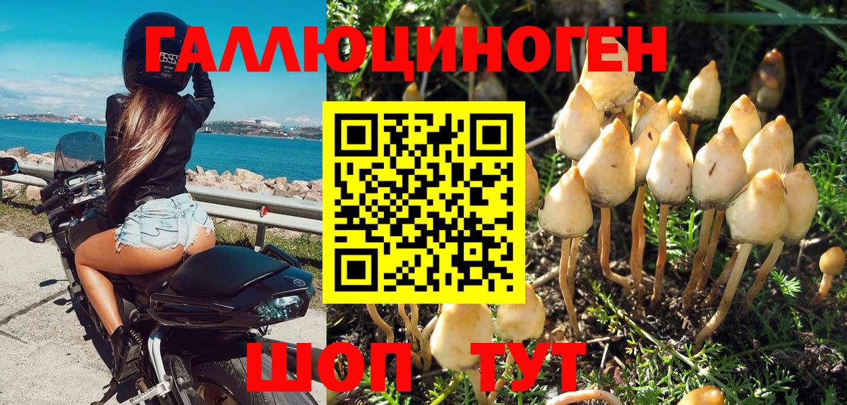 Дедовск  Галлюциногенные грибы Magic Shrooms  Вход с VPN 